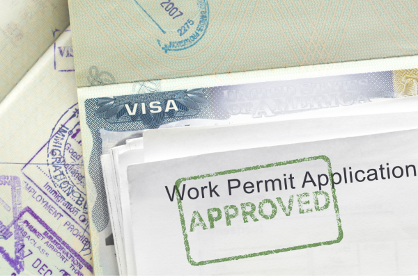 Key Differences Between Employment Permits and Visas Cover